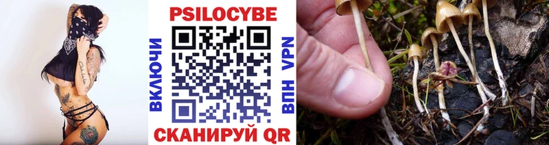 Псилоцибиновые грибы ЛСД  Купить где  Покачи 